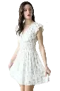 CR2231A-4 Background Removed.webp