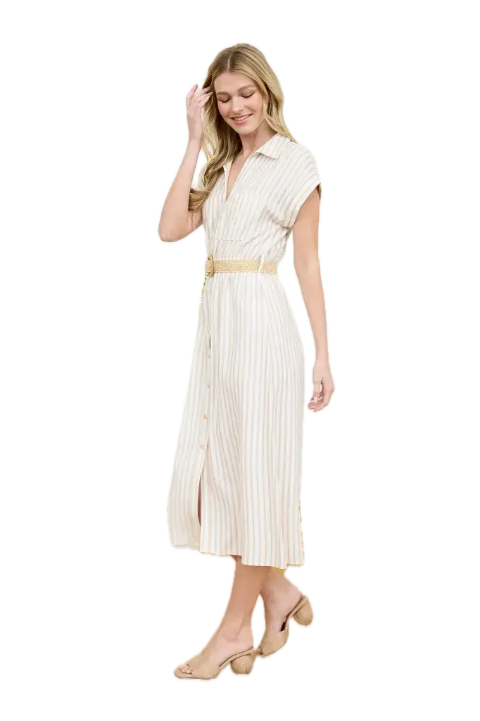 CR2479--3 Background Removed.webp