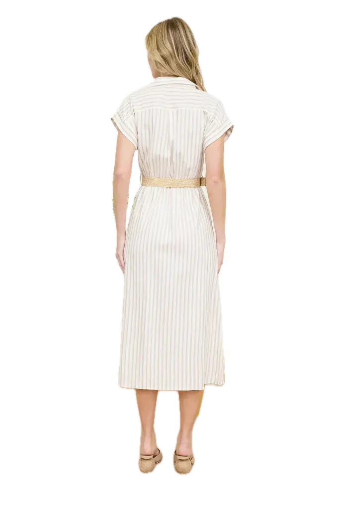 CR2479-4 Background Removed.webp