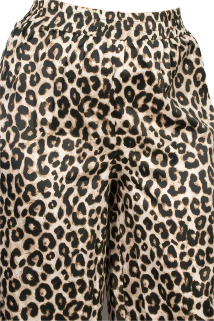 HMP40890-2 Background Removed.webp