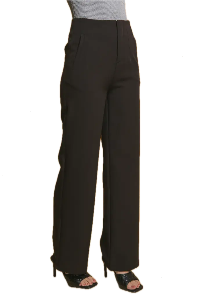 60040PN Classic- Fit Pleated Pants (S)