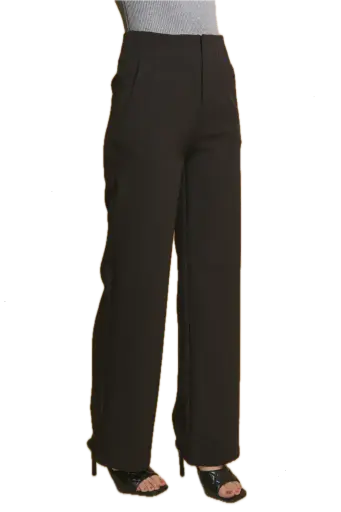 60040PN Classic- Fit Pleated Pants